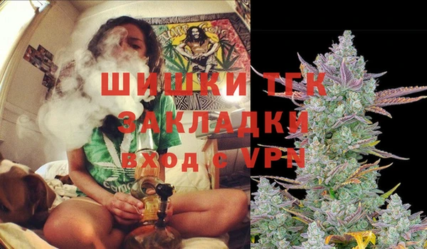 PSILOCYBIN Армянск