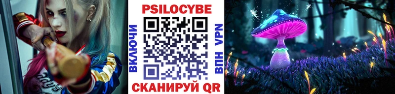 наркотики Ельня hydra онион Галлюциногенные грибы Psilocybe